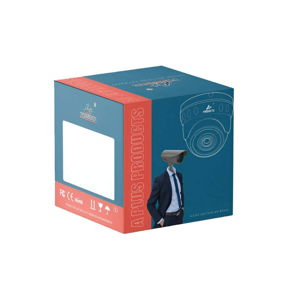 A+ Products 2.4MP HD ColorVu Premium Dome Camera 3.6mm With Audio (AD-D03)